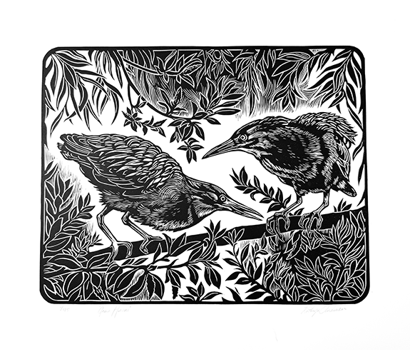 Green Herons - Kathy Anderson